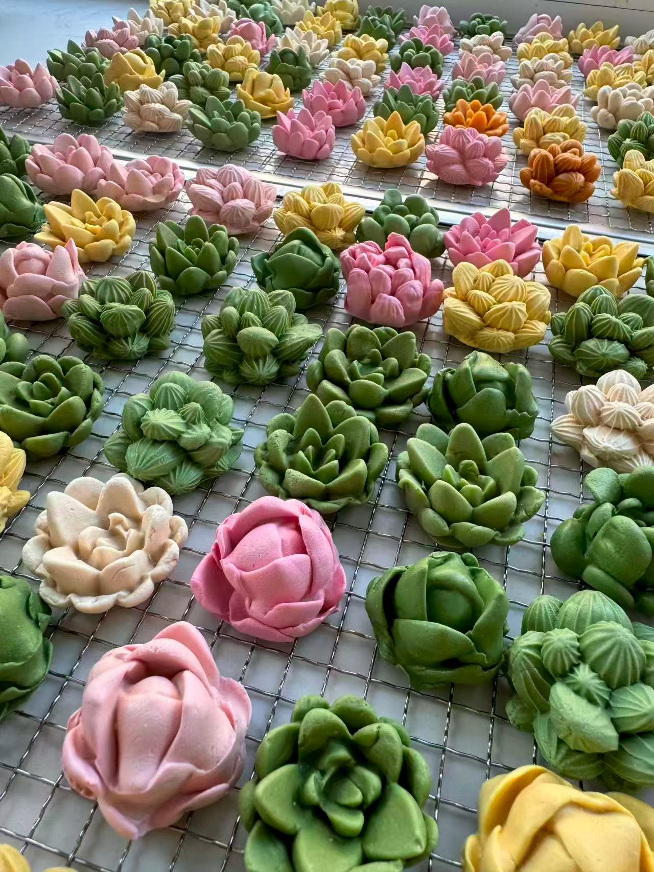Succulents Plant Dog Treats (Not Soft) | Goat Milk Based | Chomper | 15ct Assorted Designs