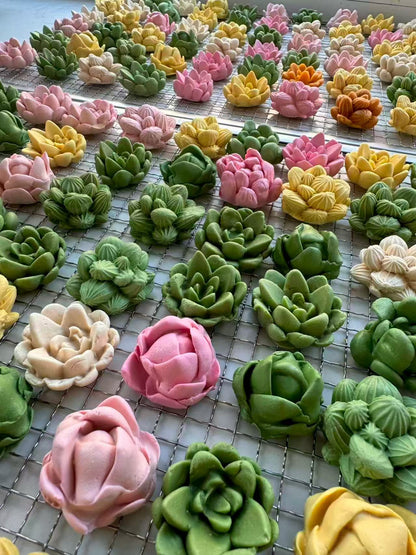 Succulents Plant Dog Treats (Not Soft) | Goat Milk Based | Chomper | 15ct Assorted Designs