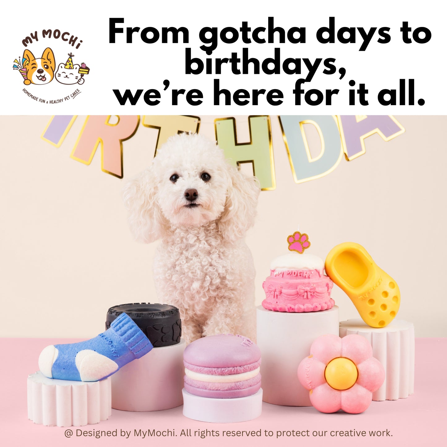 Macaron Cake Bundle (3 Tiers) | Dog & Cat Cake | Special Cake for the Special Paw | Organic Yogurt X Meat