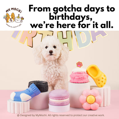 Macaron Cake Bundle (3 Tiers) | Dog & Cat Cake | Special Cake for the Special Paw | Organic Yogurt X Meat