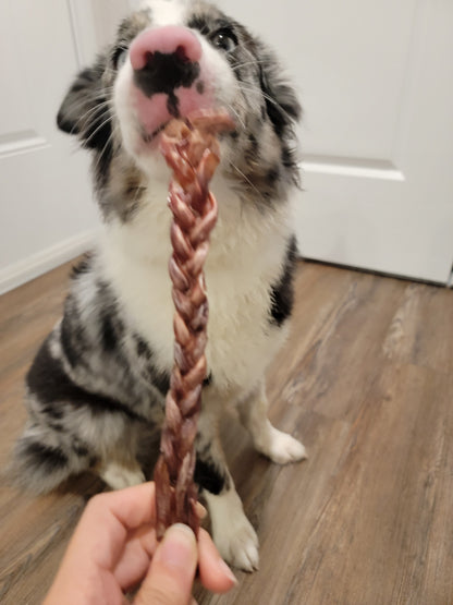 Pork Pizzles Bully Stick (Chew)| Organ Meat Based | Chomper |1ct or 5ct