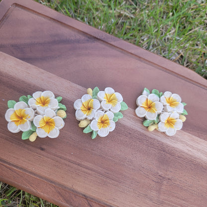 Aloha!!! Hawaiian Pua, Plumeria Pet Treats, 2ct, Smelling the Hawaiian Breeze ~~ 🌿😋 (Limited Stocks)