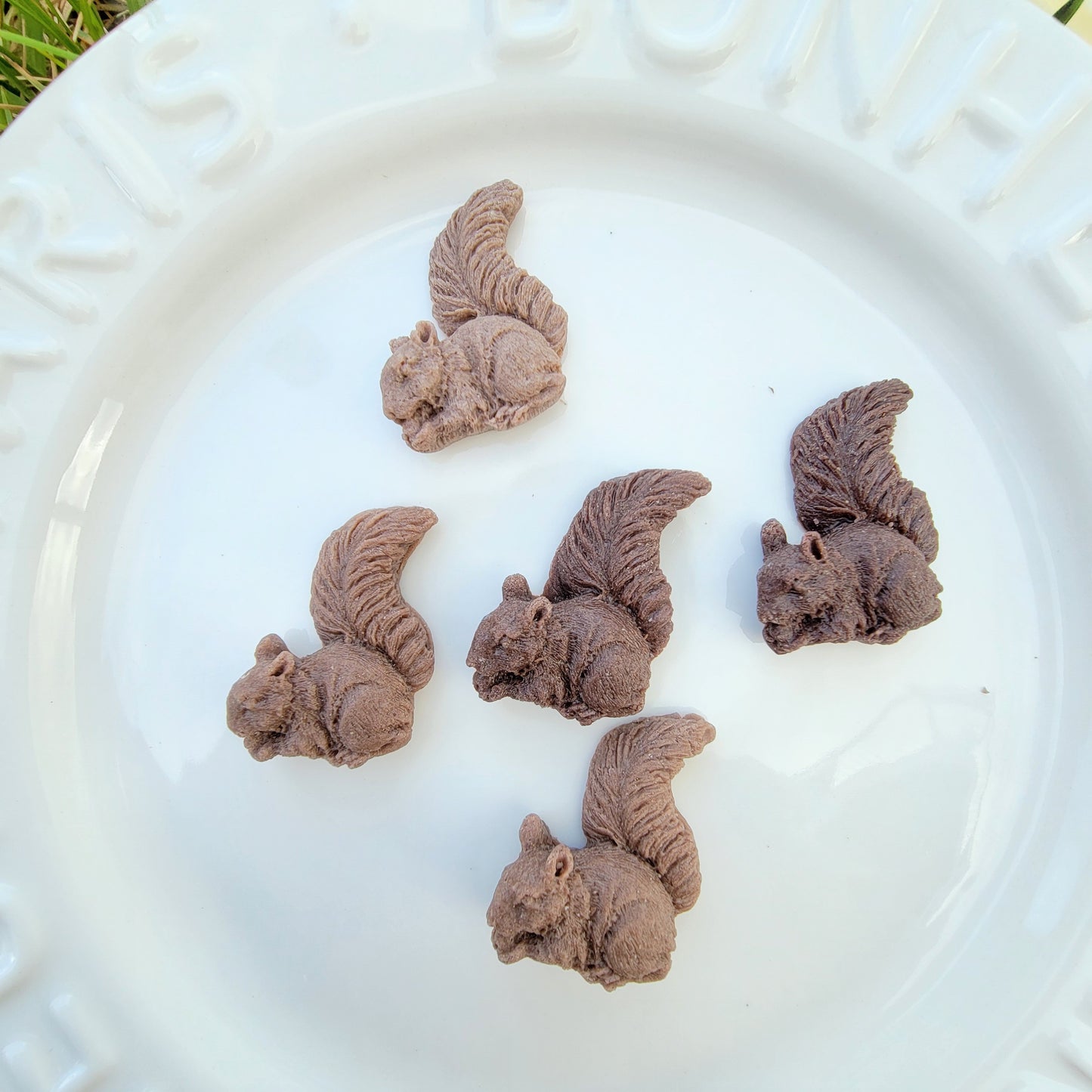 3D Mini Squirrels , Dog/Cat Treats, Decor Enrichment/Toppers (12ct)