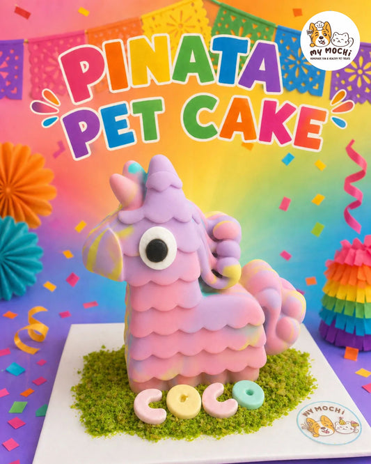 Unicorn Piñata Pet Cake Bundle | Dog Cake | Organic Yogurt X Meat