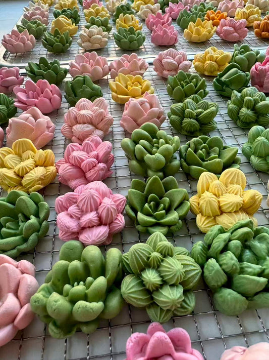 Succulents Plant Dog Treats (Not Soft) | Goat Milk Based | Chomper | 15ct Assorted Designs