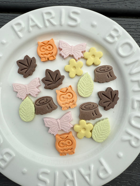 Pastel Autumn Set | Enrichment & Toppers| Goat Milk Based | Crunchy | 1.8oz/50g | Assorted Designs