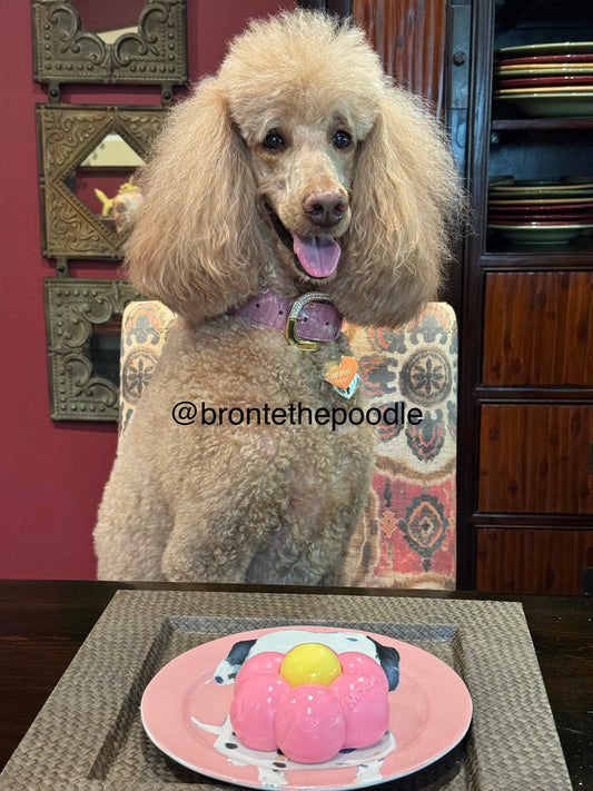 Daisy Flower Cake Bundle | Dog & Cat Cake | Organic Yogurt X Meat