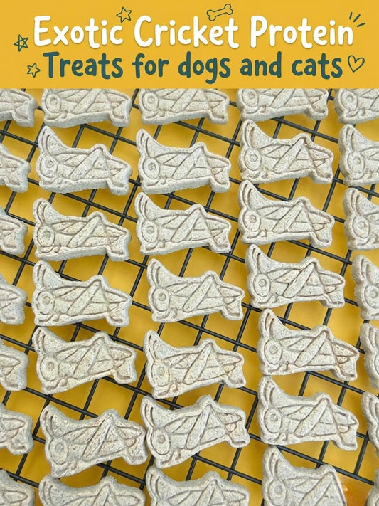 Exotic Cricket Calcium Hypoallergenic Pet Treats (+Duck) | Meat Based | Meal Enchancer | Softie | 30ct