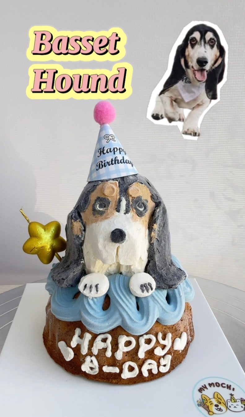 Custom Brownie Pet Cake Bundle | Dog & Cat | Homemade Plant Based Cream x Meat