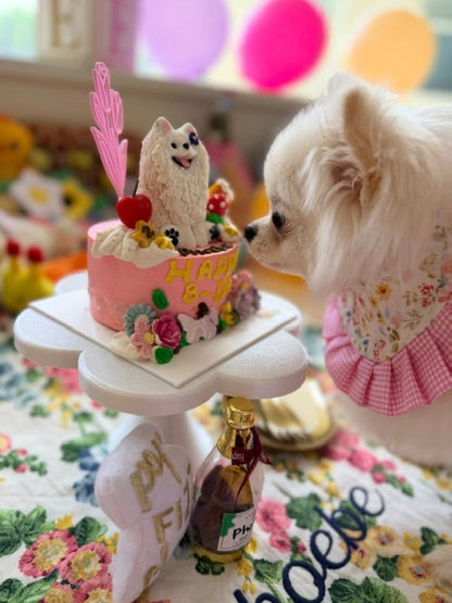 Custom Whimsical Garden Theme | Bespoke Meat Cake Bundle | Dog & Cat Cake | Homemade Plant Based Cream Cheese X Meat | ~21.1oz/600g
