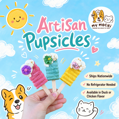 MyMochi Artisan Pupsicles | Chicken or Duck | Meat Based | Soft Crunchie | 3ct Assorted Designs