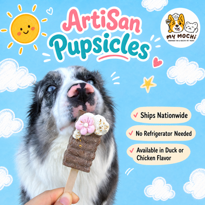 MyMochi Artisan Pupsicles | Chicken or Duck | Meat Based | Soft Crunchie | 3ct Assorted Designs