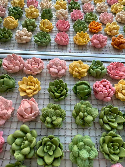 Succulents Plant Dog Treats (Not Soft) | Goat Milk Based | Chomper | 15ct Assorted Designs