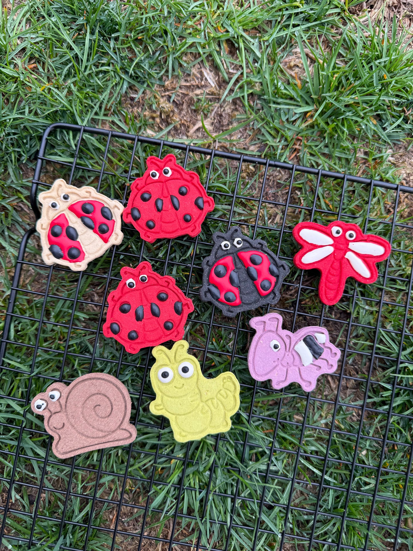 Bug's Life, Meat Based Cookies, Homemade Dog/Cat Treats, 8 assorted design/set