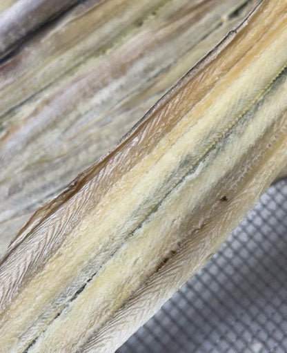 Wild Caught Eels (Cooked, Skinned, Deboned) | Premium Seafood Based |Crunchy |3ct or 5ct