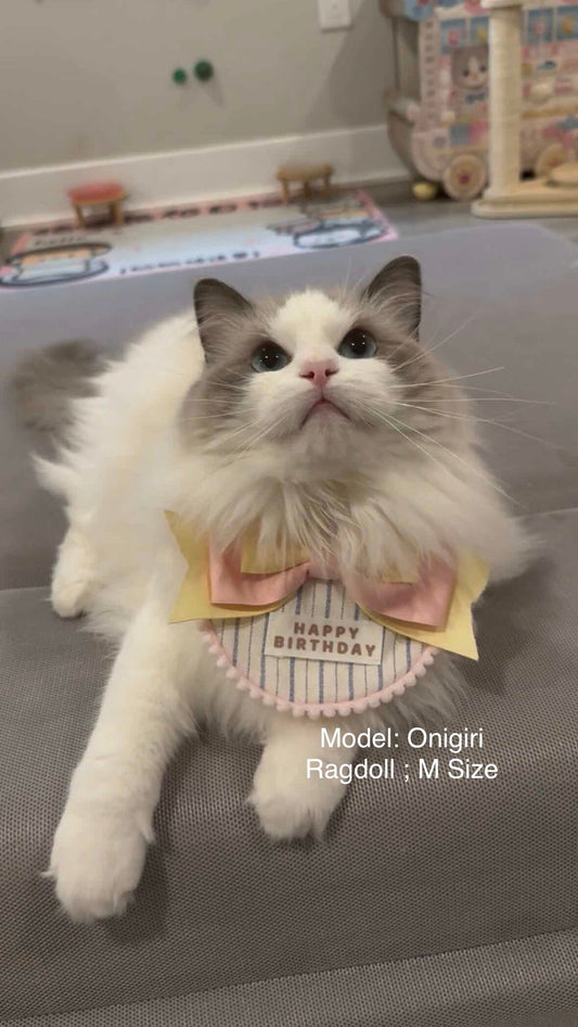 MyMochi Limited Accessories | Sweet Birthday Bandana For Dog & Cats | High Quality Boutique Cotton