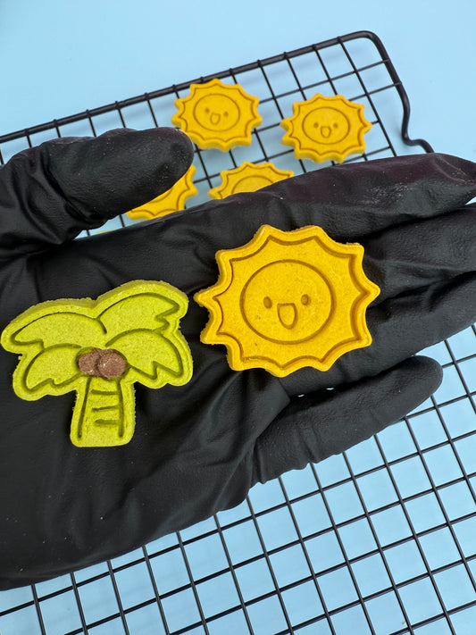 Tropical Sunny Coco Set| Meat Based | Softie | 10ct | Assorted Designs