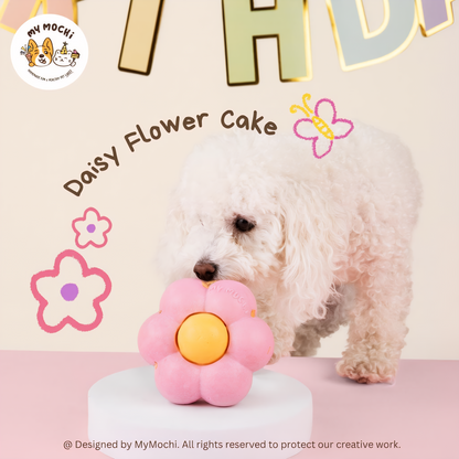 Daisy Flower Cake Bundle | Dog & Cat Cake | Special Cake for the Special Paw | Organic Yogurt X Meat