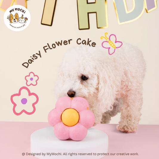 Daisy Flower Cake Bundle | Dog & Cat Cake | Special Cake for the Special Paw | Organic Yogurt X Meat