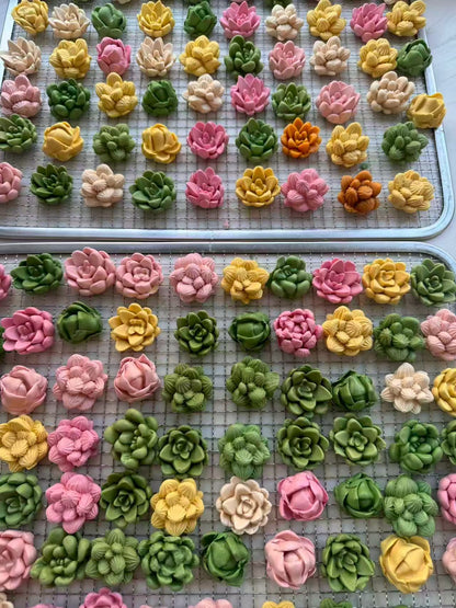 Succulents Plant Dog Treats (Not Soft) | Goat Milk Based | Chomper | 15ct Assorted Designs