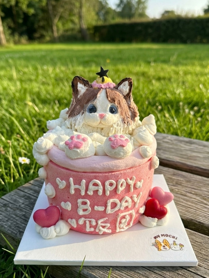 Custom Royal Bubble Bath | Bespoke Meat Cake Bundle | Dog & Cat Cake | Homemade Plant Based Cream Cheese X Meat