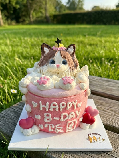Custom Royal Bubble Bath | Bespoke Meat Cake Bundle | Dog & Cat Cake | Homemade Plant Based Cream Cheese X Meat