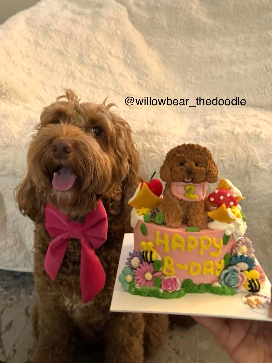 Custom Whimsical Garden Theme | Bespoke Meat Cake Bundle | Dog & Cat Cake | Homemade Plant Based Cream Cheese X Meat | ~21.1oz/600g