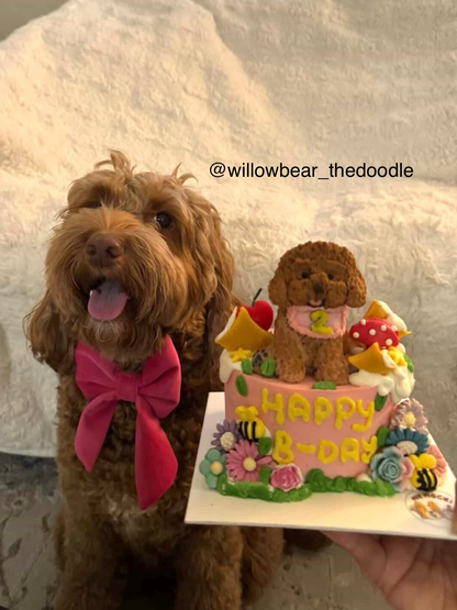 Custom Whimsical Garden Theme | Bespoke Meat Cake Bundle | Dog & Cat Cake | Homemade Plant Based Cream Cheese X Meat | ~21.1oz/600g