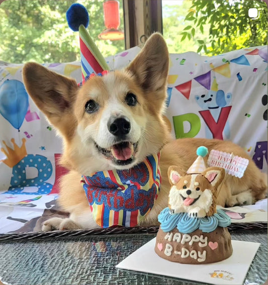 Custom Brownie Pet Cake Bundle | Dog & Cat | Homemade Plant Based Cream x Meat