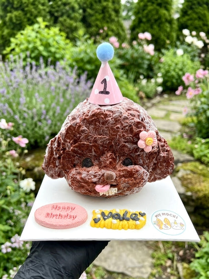 Custom Pop-Up Pawrait Cake | Bespoke Meat Cake Bundle | Dog & Cat | Homemade Plant Based Cream