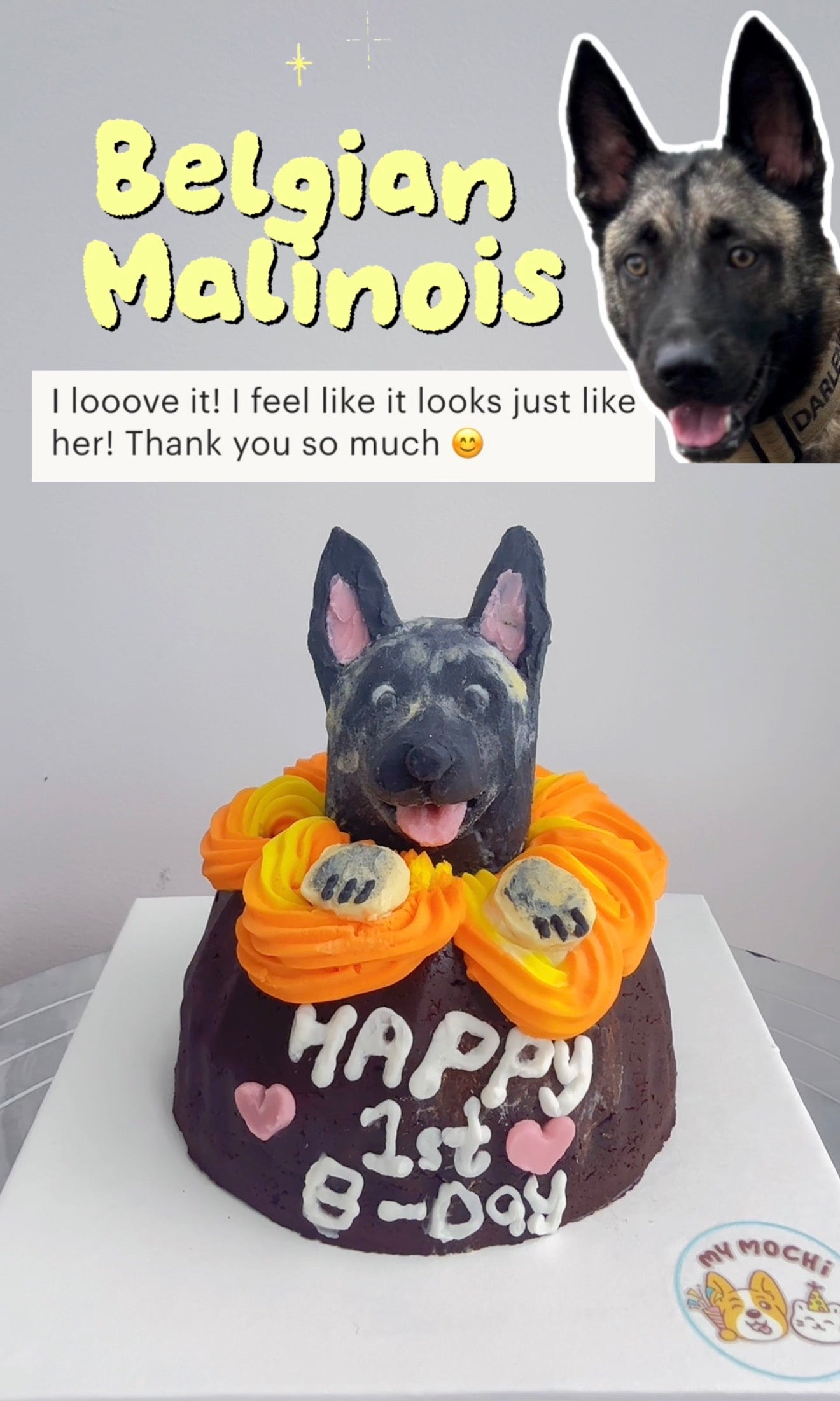 Custom Brownie Pet Cake Bundle | Dog & Cat | Homemade Plant Based Cream x Meat