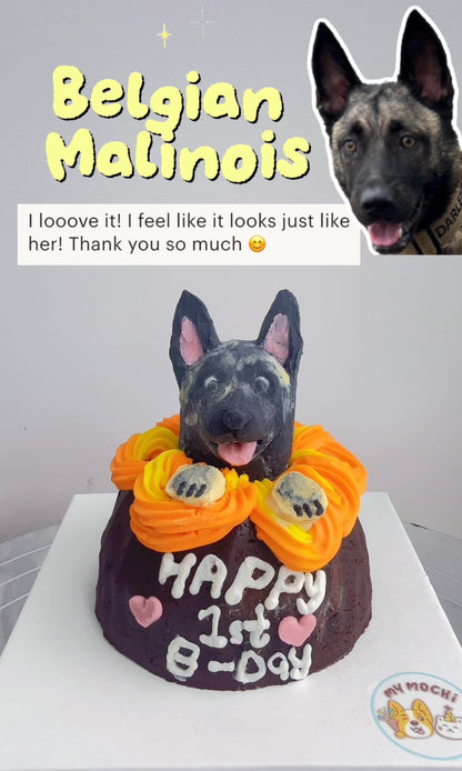 Custom Brownie Pet Cake Bundle | Dog & Cat | Homemade Plant Based Cream x Meat