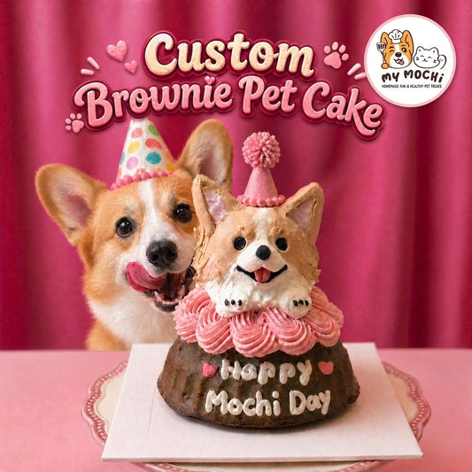 Custom Brownie Pet Cake Bundle | Dog & Cat | Homemade Plant Based Cream x Meat