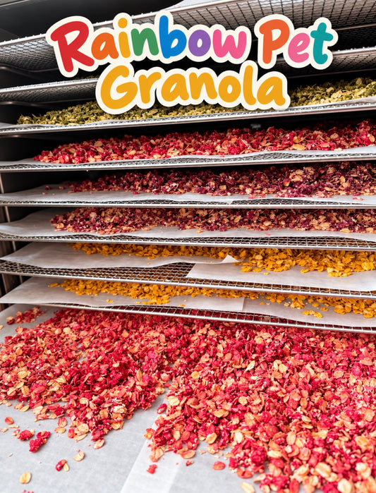 Rainbow Pet Granalo Mix, Soft Plant Based, Organic Rolled Oat, 100g/3.5oz