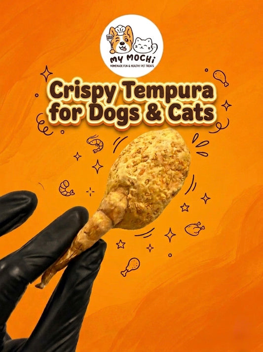 Crispy Tempura Set (Life-size) | Softie & Crunchy | 3ct