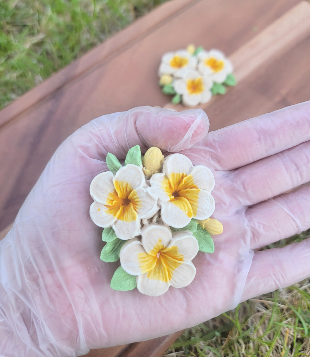 Aloha!!! Hawaiian Pua, Plumeria Pet Treats, 2ct, Smelling the Hawaiian Breeze ~~ 🌿😋 (Limited Stocks)