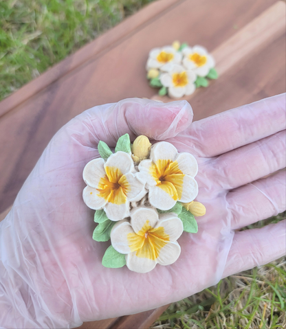Aloha!!! Hawaiian Pua, Plumeria Pet Treats, 2ct, Smelling the Hawaiian Breeze ~~ 🌿😋 (Limited Stocks)