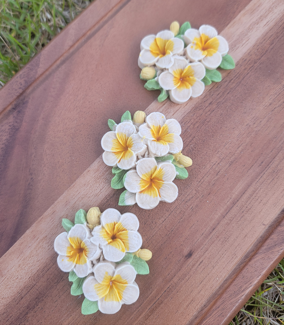 Aloha!!! Hawaiian Pua, Plumeria Pet Treats, 2ct, Smelling the Hawaiian Breeze ~~ 🌿😋 (Limited Stocks)