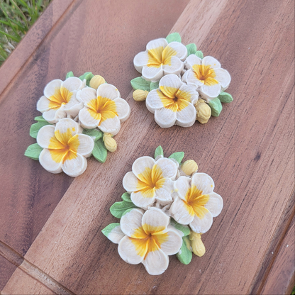 Aloha!!! Hawaiian Pua, Plumeria Pet Treats, 2ct, Smelling the Hawaiian Breeze ~~ 🌿😋 (Limited Stocks)