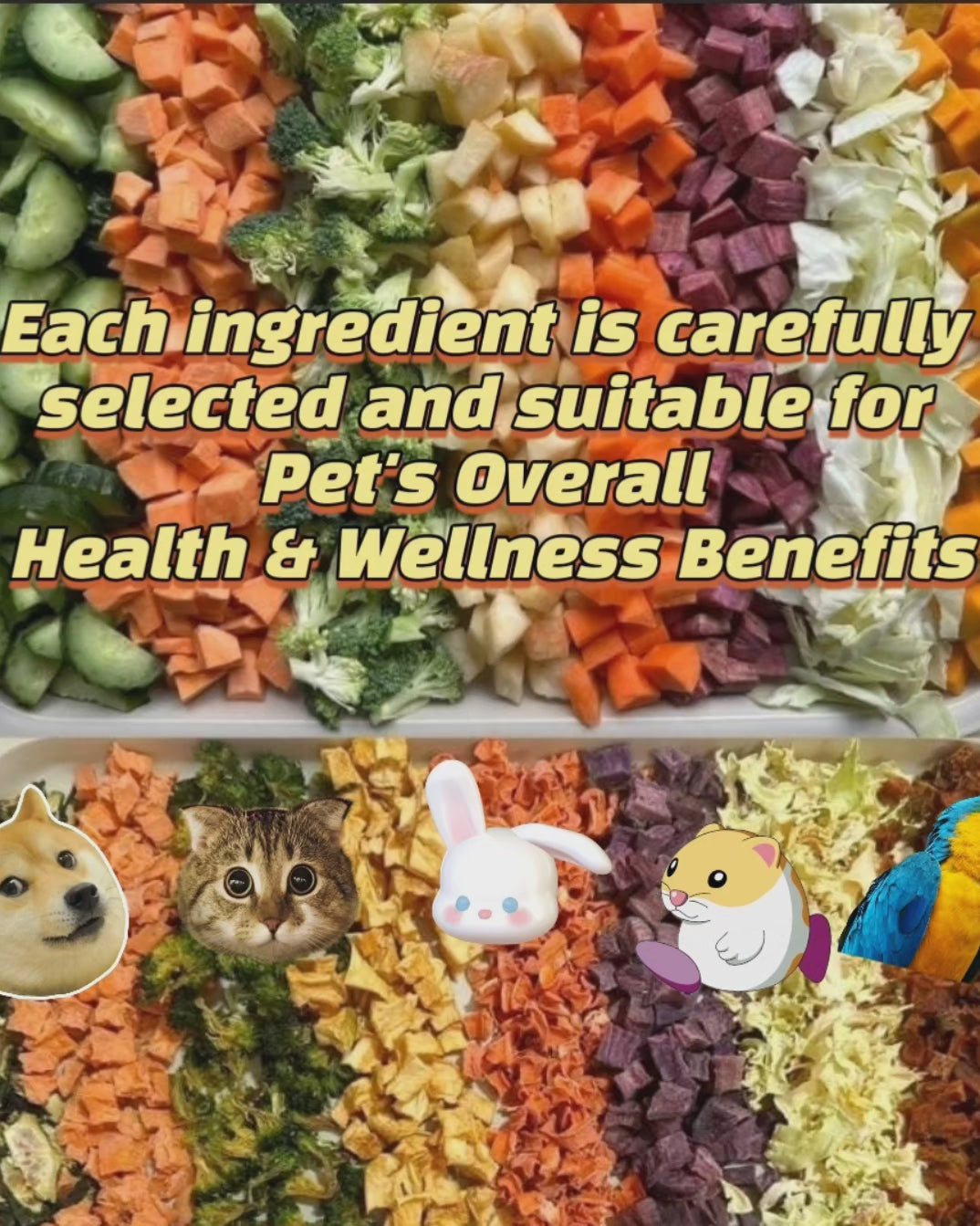 Eat The Rainbow, Mix 9x Superfoods Rainbow Veggs & Fruits, Homemade Healthy Dog/Cat Food Toppers (Designed for Pet Overall Health Wellness)