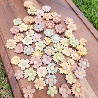 Mini Garden Set | Meat Based | Softie | 55-60ct| Handcrafted Assorted Designs