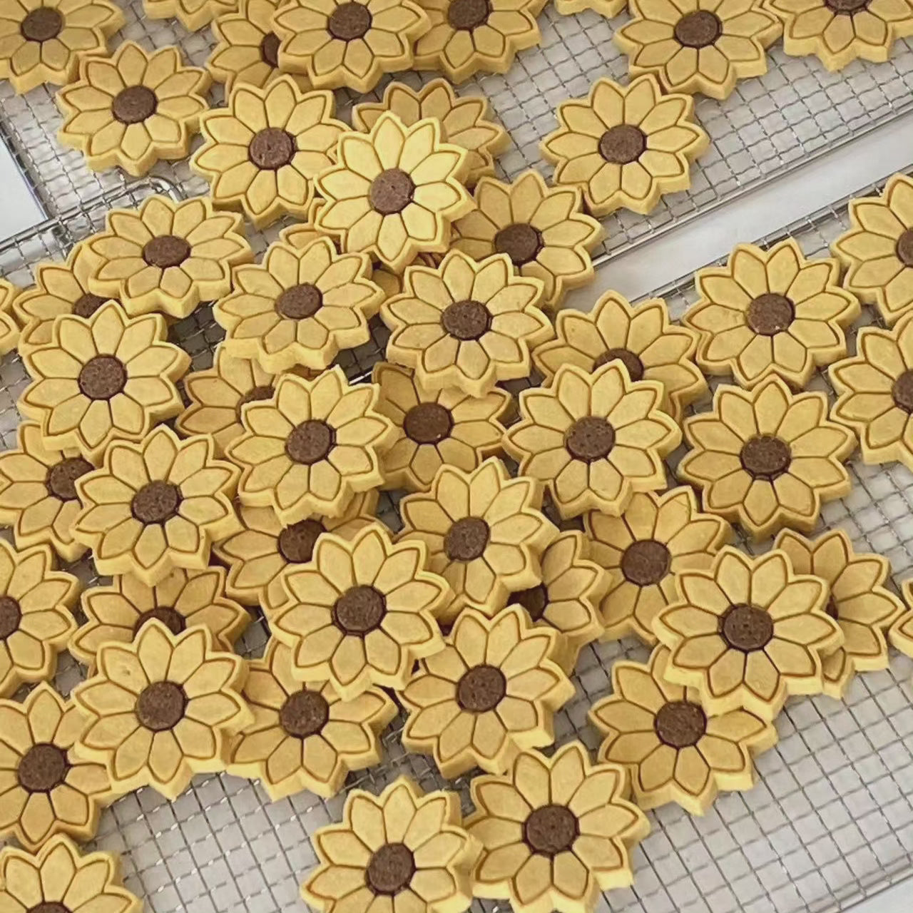 Sunflowers Cookies, Healthy Dog/Cat Treats, Meat based, Half Palm Size, 5ct