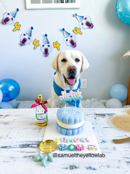 Cookie Sandwiches Cake Bundle (3 Tiers) | Dog & Cat Cake | Organic Yogurt X Meat