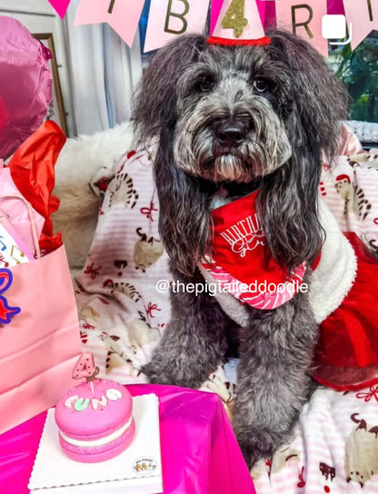 Macaron Cake Bundle (3 Tiers) | Dog & Cat Cake | Organic Yogurt X Meat