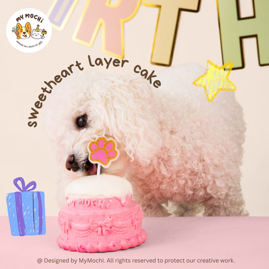 Sweet Heart Cake Bundle (2 Tiers) | Dog & Cat Cake | Special Cake for the Special Paw | Organic Yogurt X Meat