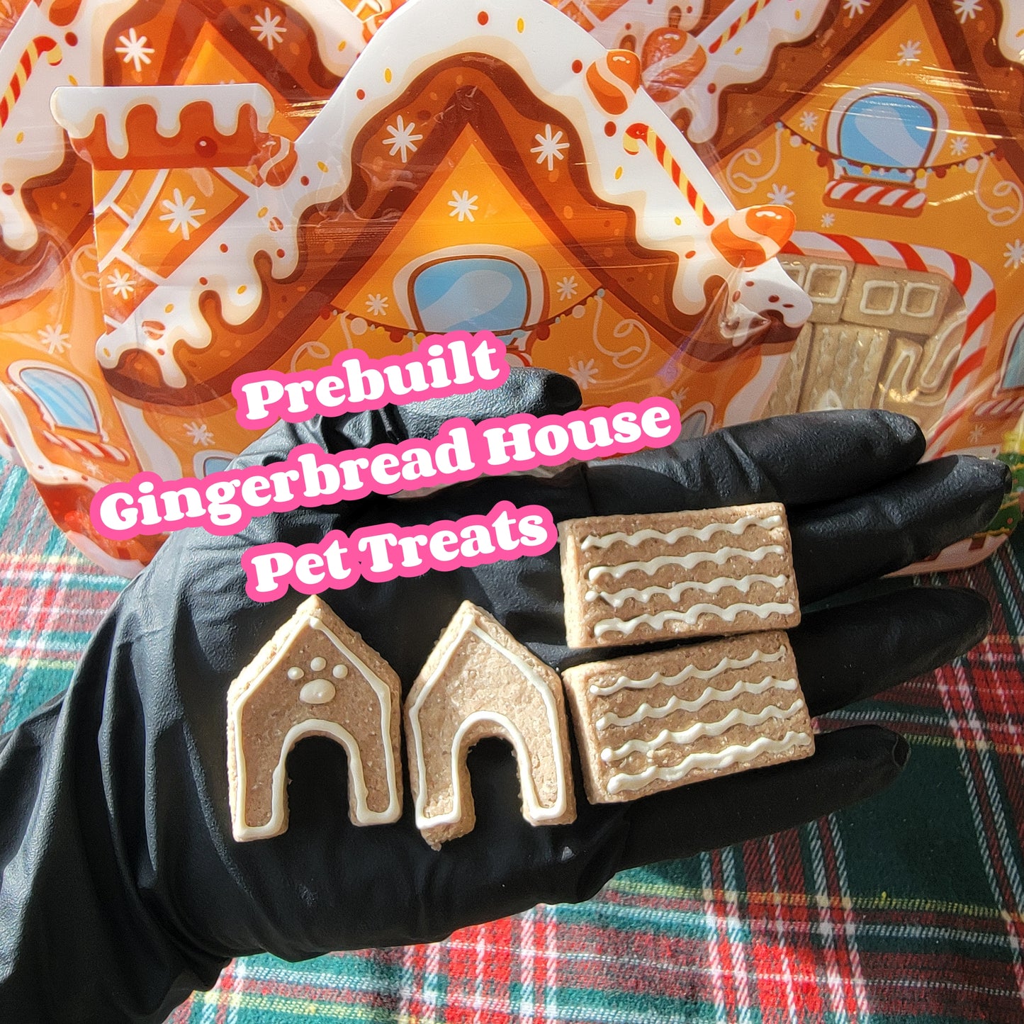 Miniature Gingerbread House Fun Kit, Dogs/Adult Cats (Made from Meats)