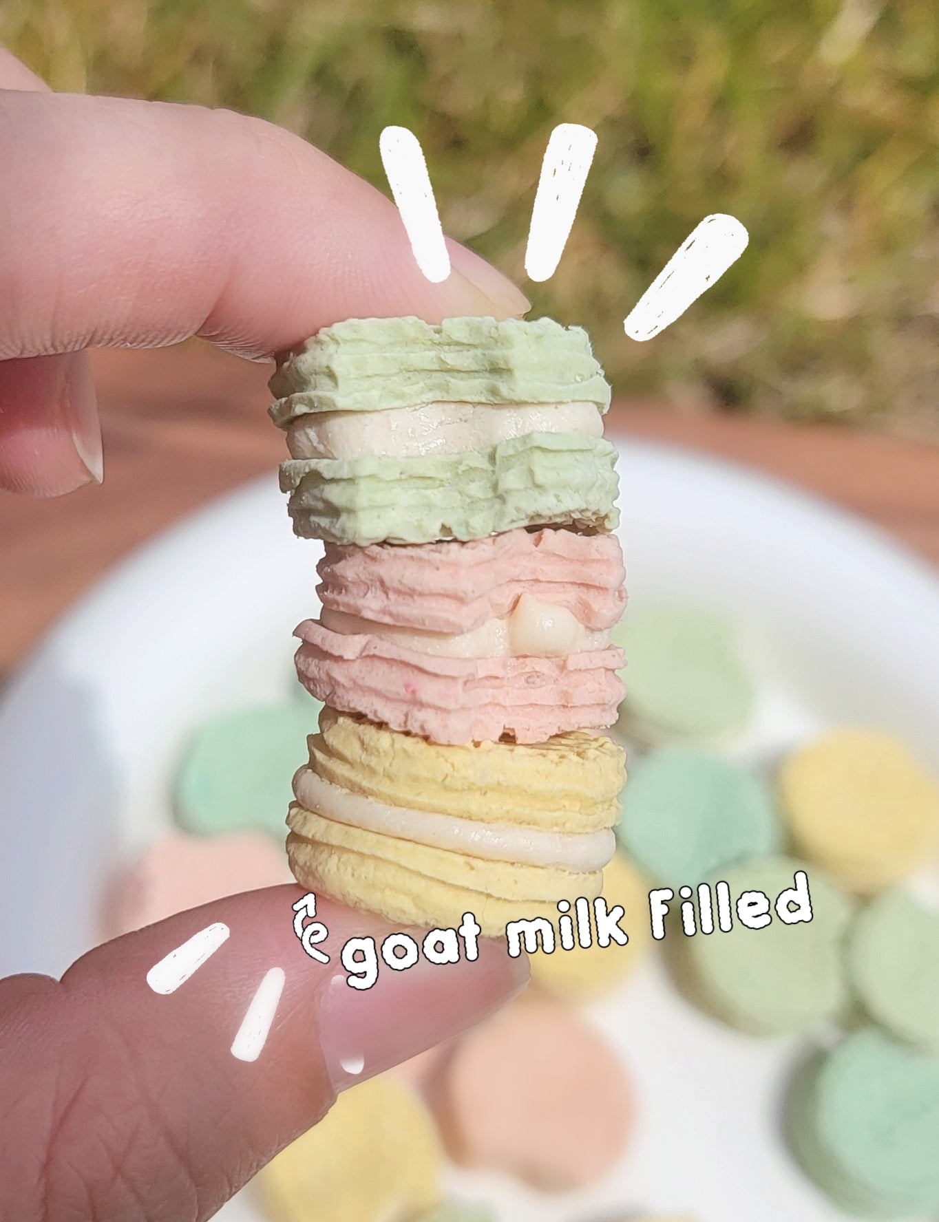 Miniature Mixed Goat Milk Filled Cookies (mini bite size), 12ct, assorted colors