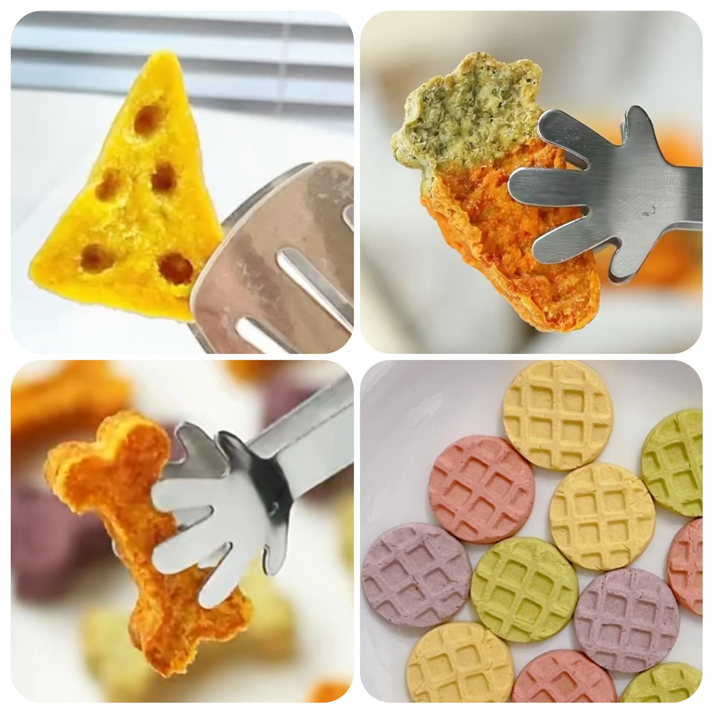 DIY Dog Food/Treats Shaping Mold (Carrots, Waffles, Cheese, Bones)