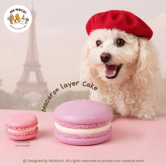 Macaron Cake Bundle (3 Tiers) | Dog & Cat Cake | Special Cake for the Special Paw | Organic Yogurt X Meat