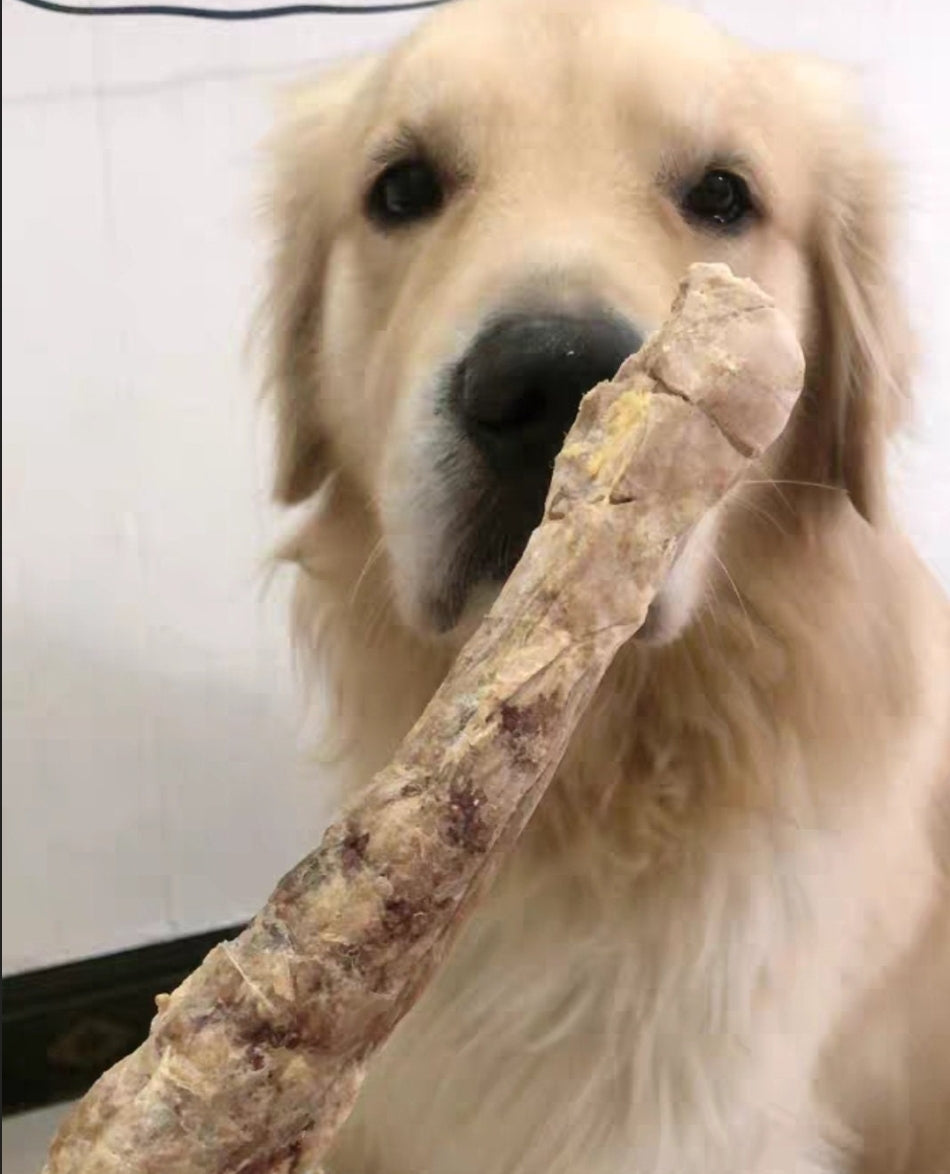 XL Turkey Neck Chew, Healthy Natural Dog Treats, Crunchy, Delicious & Nutritious, Dental Scrap Tatar, Bone, Energy Outlet (1ct)